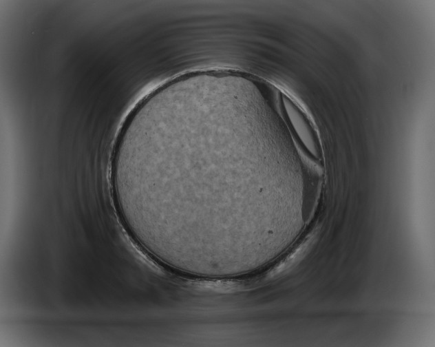 X0000084540797200703231713