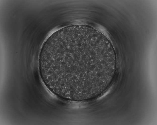 X0000084540803200703231713