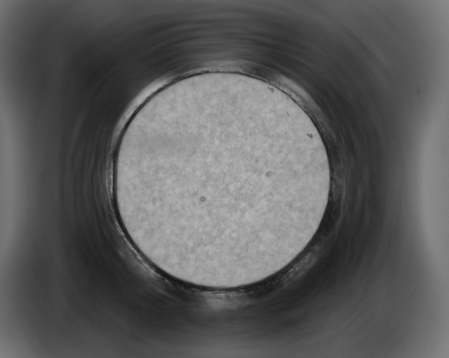 X0000084540804200703231713