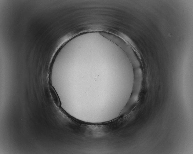 X0000084540805200703231713