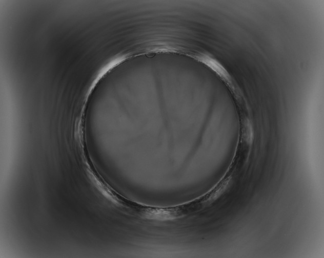 X0000084540806200703231713