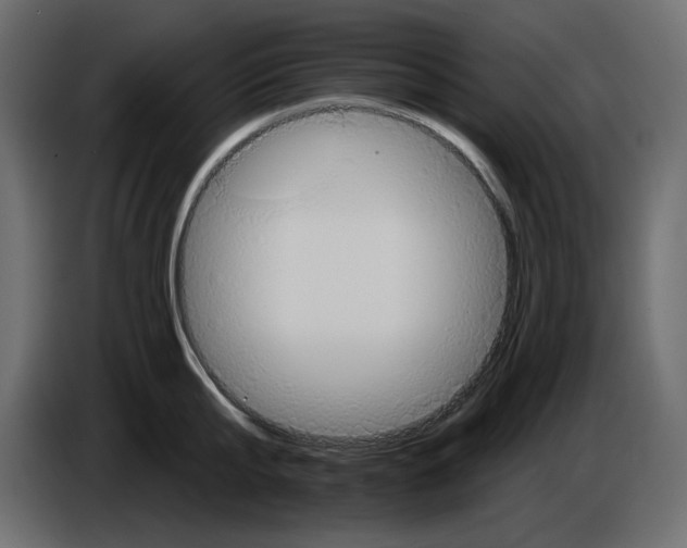 X0000084540807200703231713