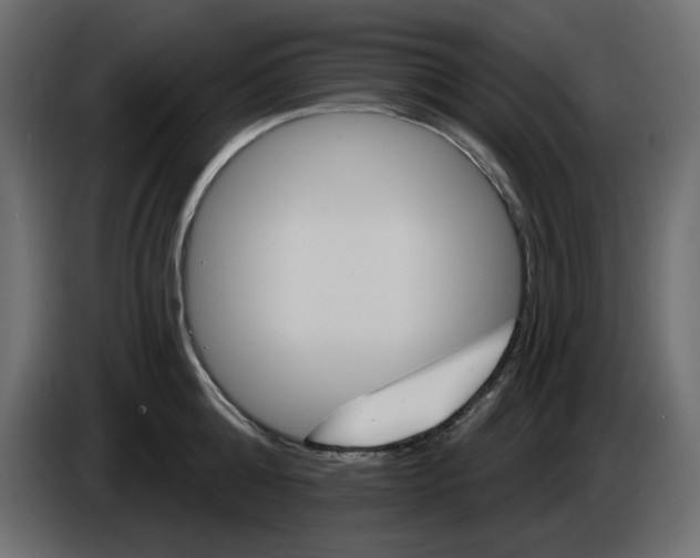 X0000084540808200703231713