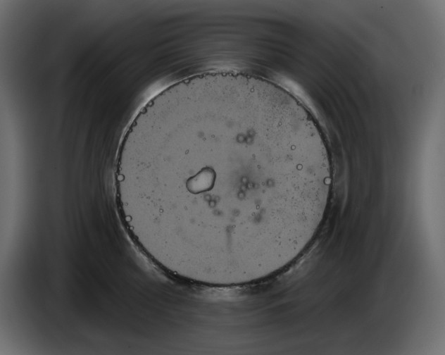 X0000084540810200703231713