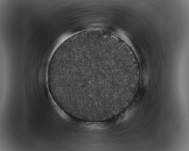 X0000084540811200703231713