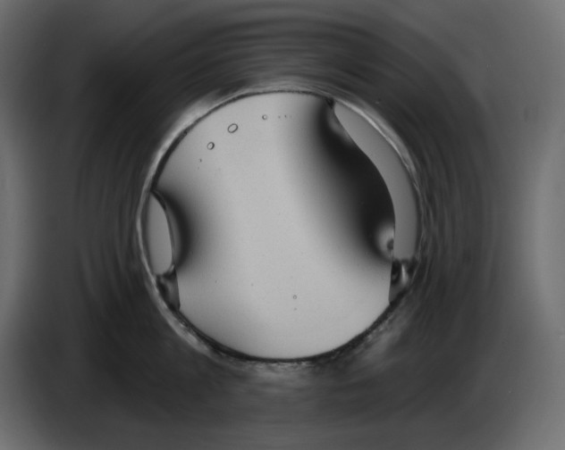 X0000084540813200703231713