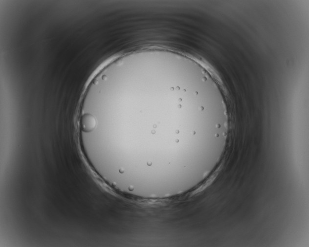 X0000084540814200703231713