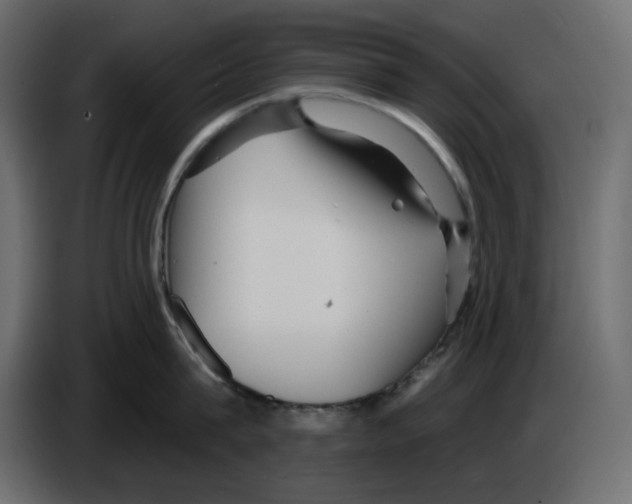 X0000084540815200703231713