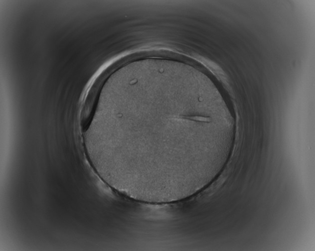 X0000084540816200703231713