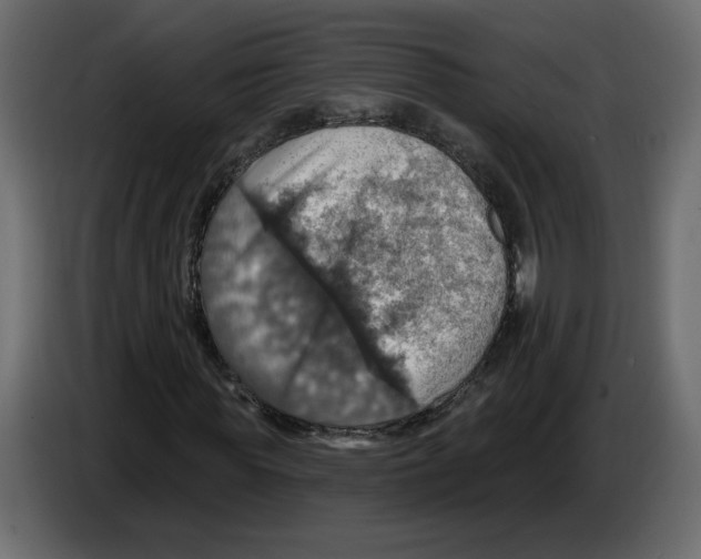 X0000084540819200703231712