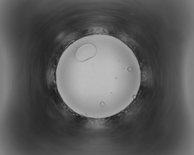 X0000084540820200703231712