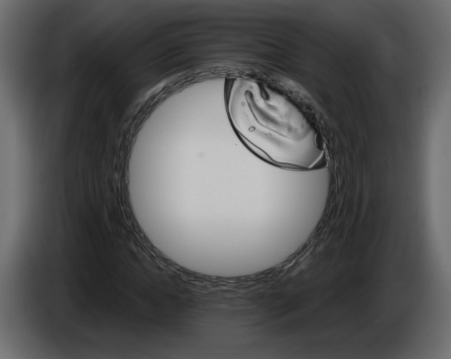 X0000084540822200703231712