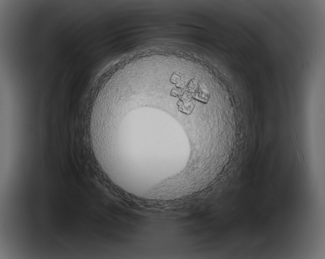 X0000084540824200703231712