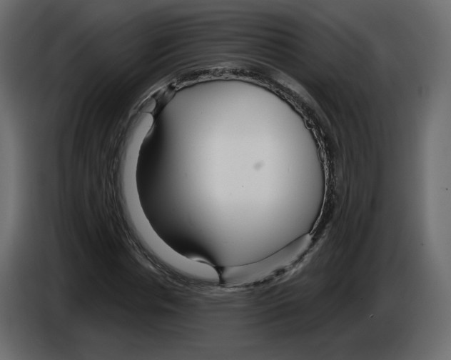 X0000084540826200703231712