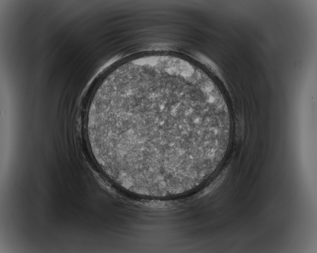 X0000084540827200703231712