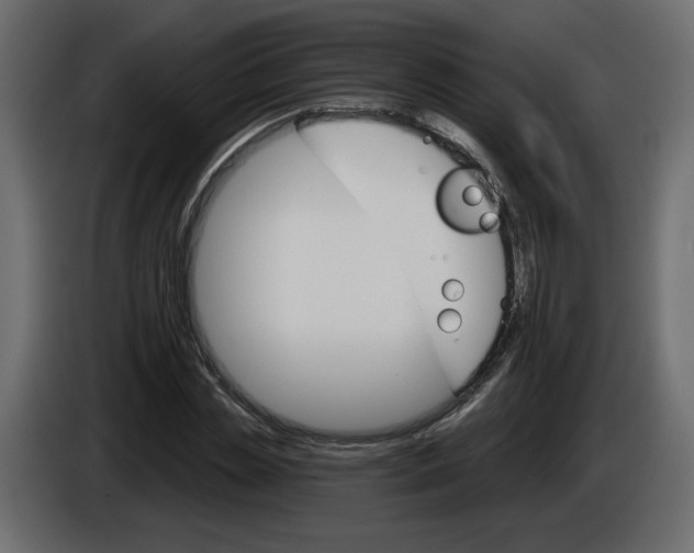 X0000084540829200703231712