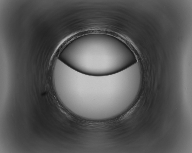 X0000084540830200703231712