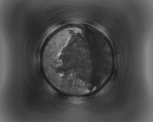 X0000084540831200703231712