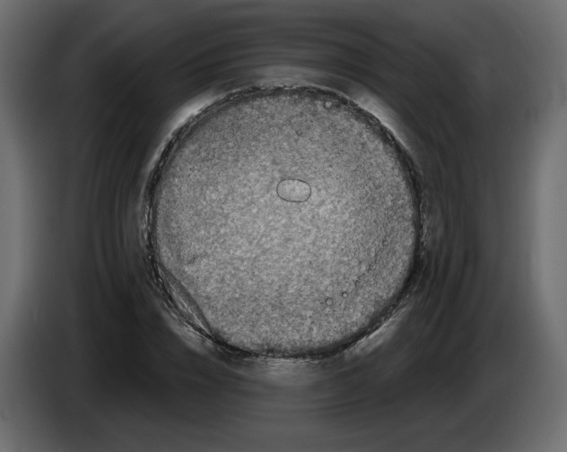 X0000084540832200703231712