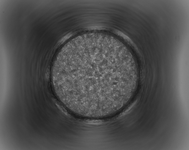 X0000084540833200703231712