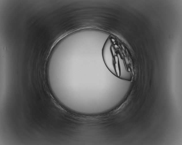 X0000084540834200703231712