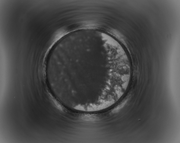 X0000084540835200703231712