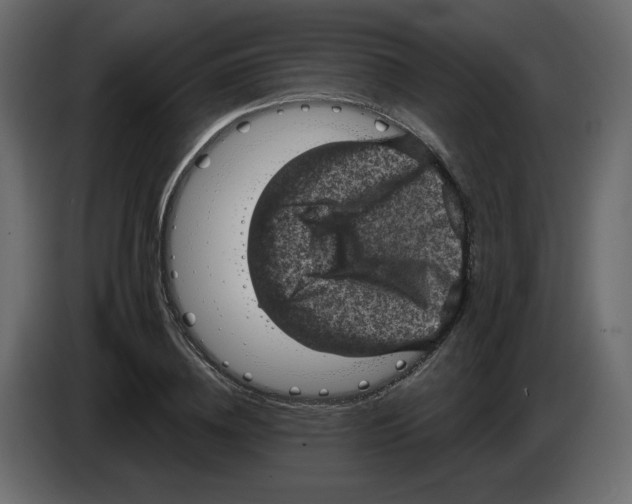 X0000084540836200703231712