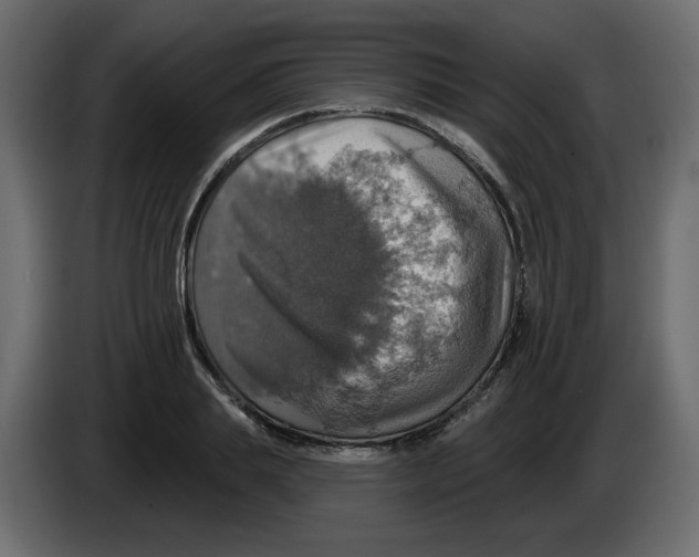 X0000084540839200703231712