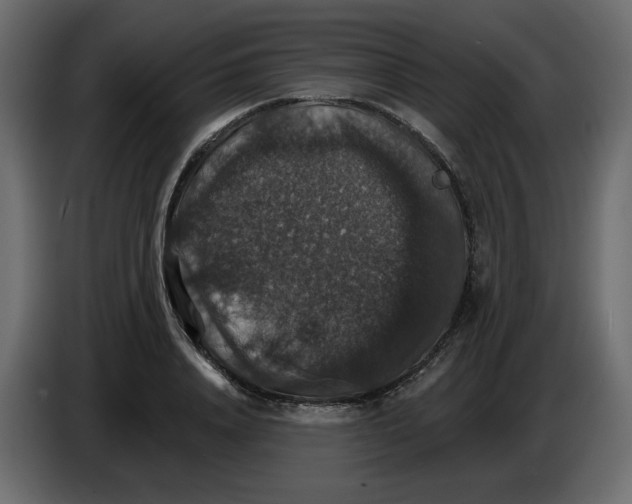 X0000084540840200703231712