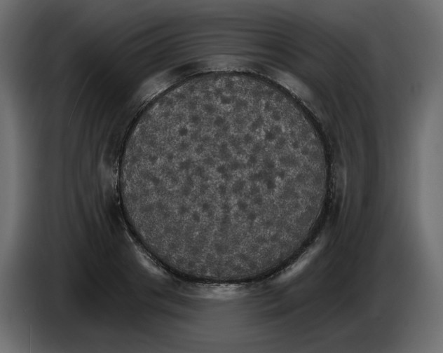 X0000084540841200703231712