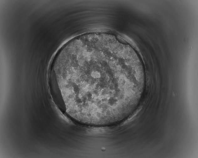 X0000084540843200703231712