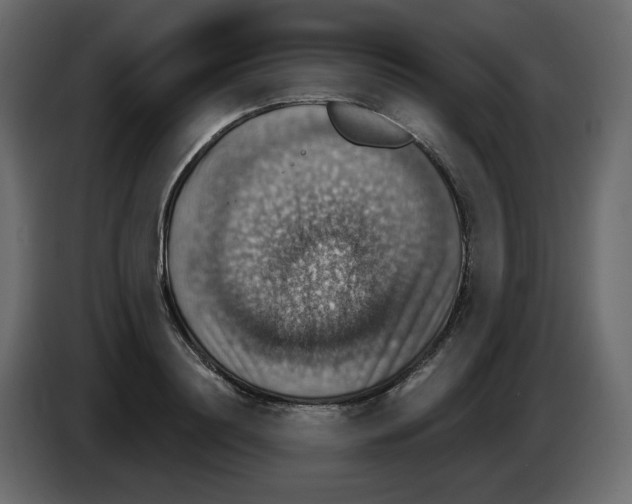 X0000084540844200703231712