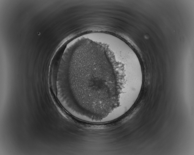 X0000084540845200703231712