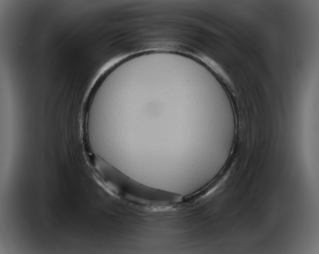 X0000084540846200703231712