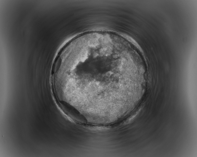 X0000084540847200703231712