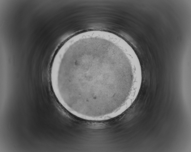 X0000084540848200703231712