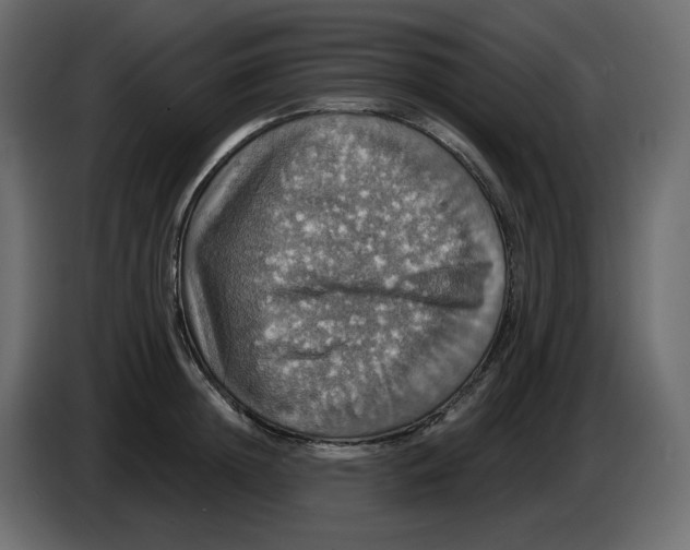 X0000084540852200703231712