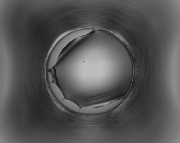 X0000084540854200703231712