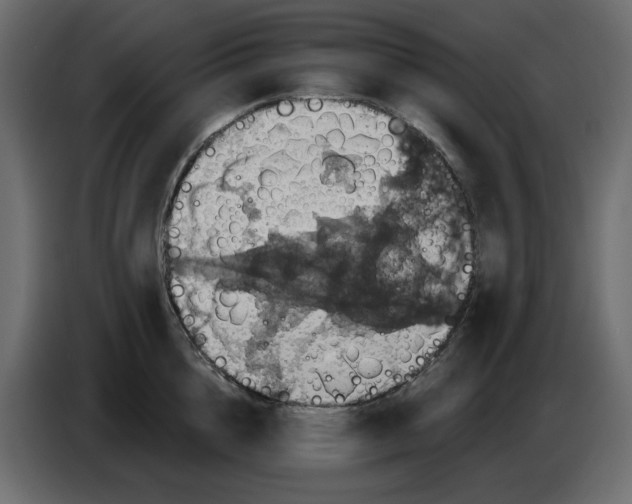 X0000084540856200703231713