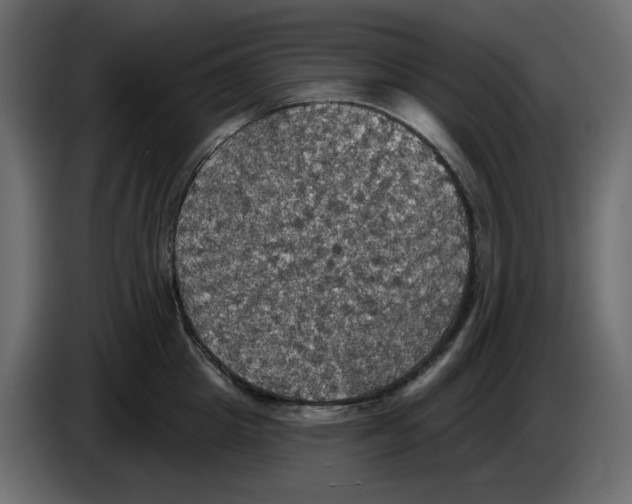 X0000084540857200703231713