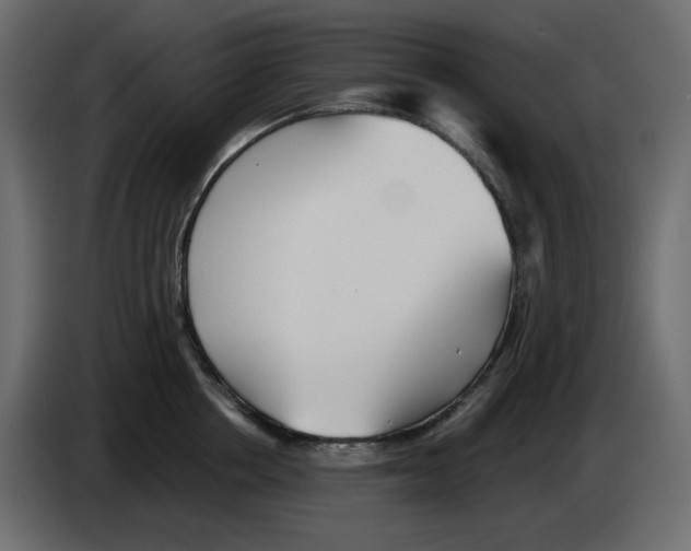 X0000084540858200703231713