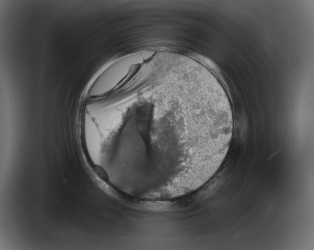 X0000084540859200703231713