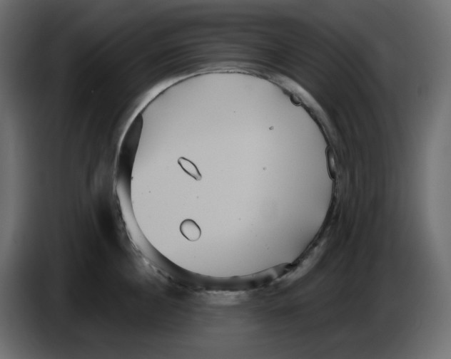 X0000084540860200703231713