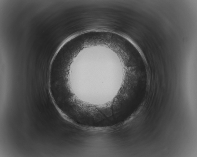 X0000084540861200703231713