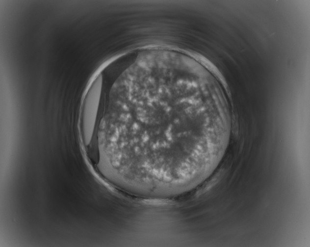 X0000084540863200703231713