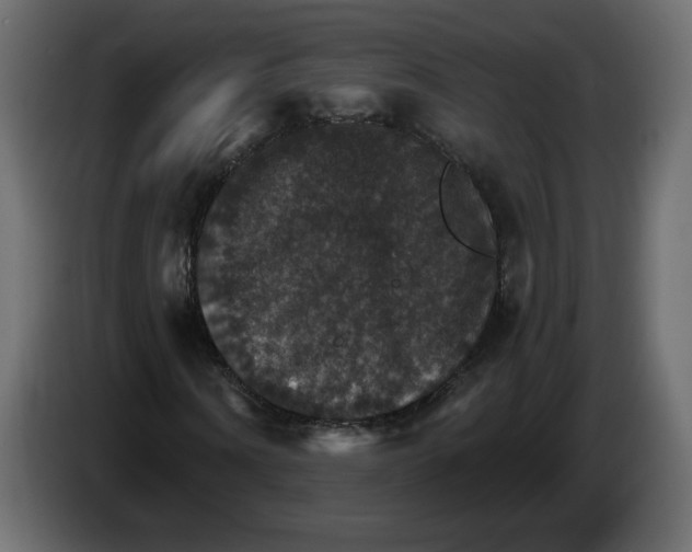 X0000084540866200703231712