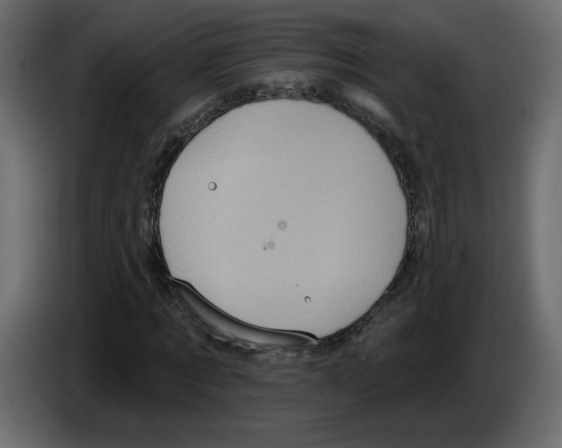 X0000084540869200703231712