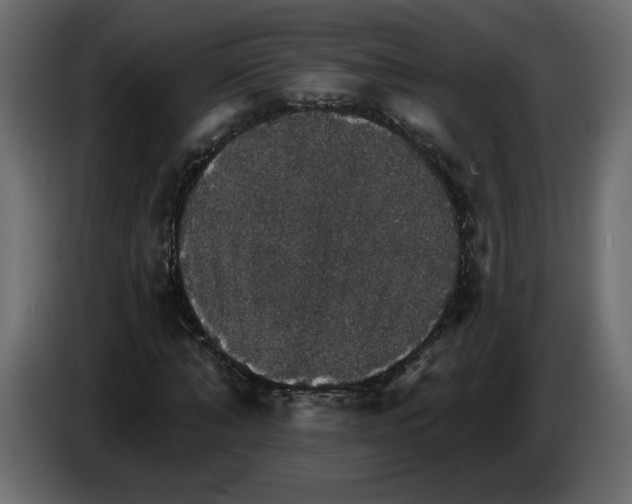 X0000084540870200703231712