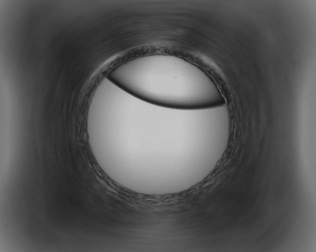 X0000084540872200703231712