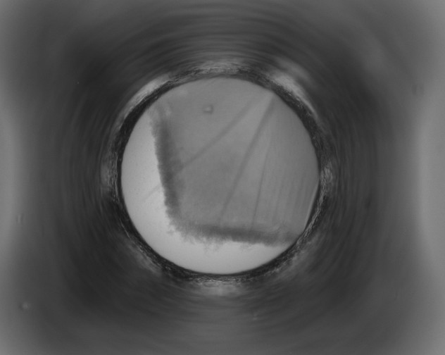 X0000084540874200703231712